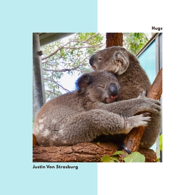 The album cover for Hugs. It is a picture set on top of two colored sides of the cover, one a sky blue and one in white, with a photo of two koalas hugging each other. The koalas appear to be in a zoo enclosure perched on a tree branch.