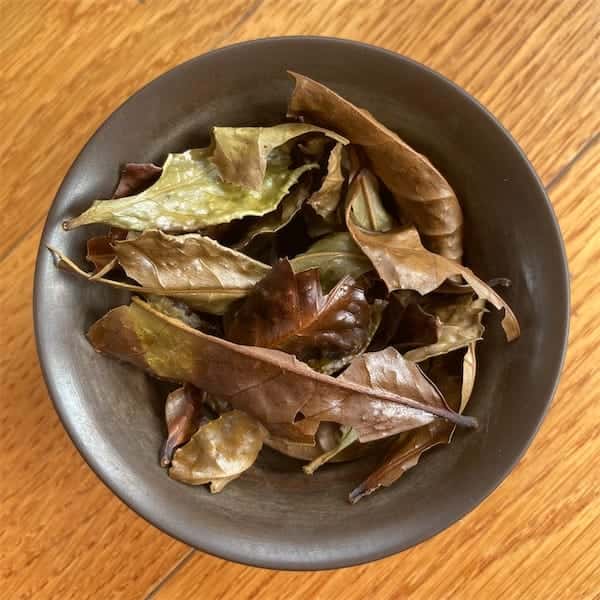 shiny green, brown, and redish brown leaves in a brown gaiwan