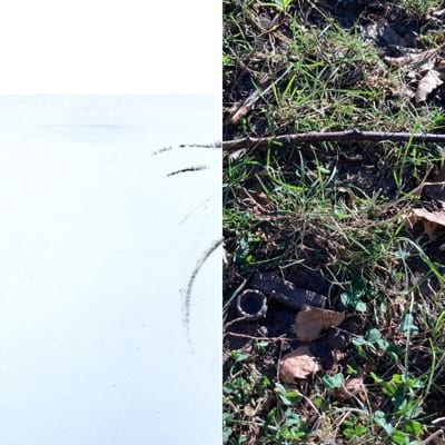 The album cover for No Signal by Regional Headbutting Techniques. It is a collage of an photo of the ground (fearturing grass, twigs, leaves, etc.) placed on the right side, a piece of paper and a white rectangle both on the left side.
