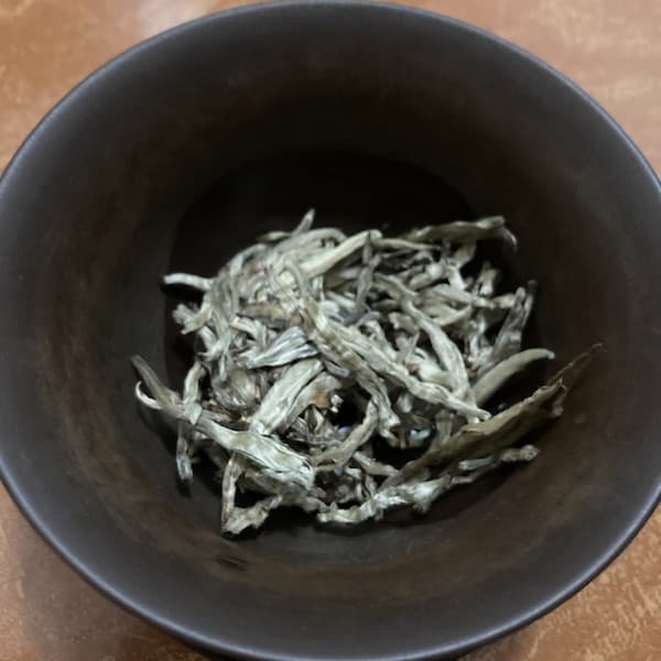 the needles in a brown gaiwan