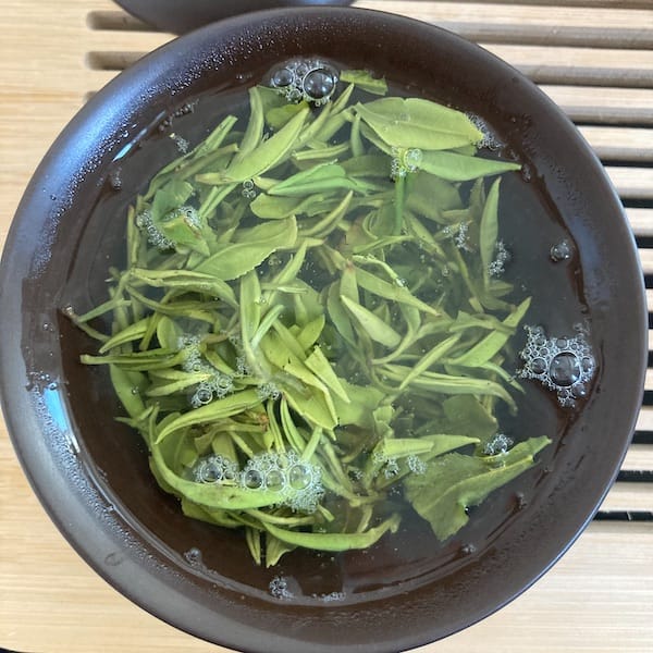 green and yellow green leaves in a gaiwan