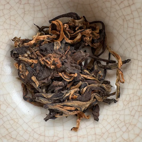 the tea, caramel, brown, and tan colored leaves, in a white porcelain gaiwan
