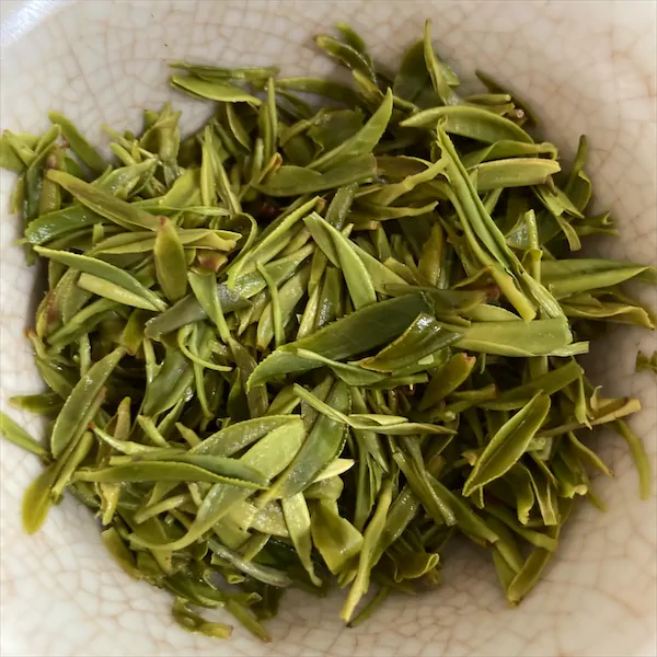 the steeped very bright green leaves